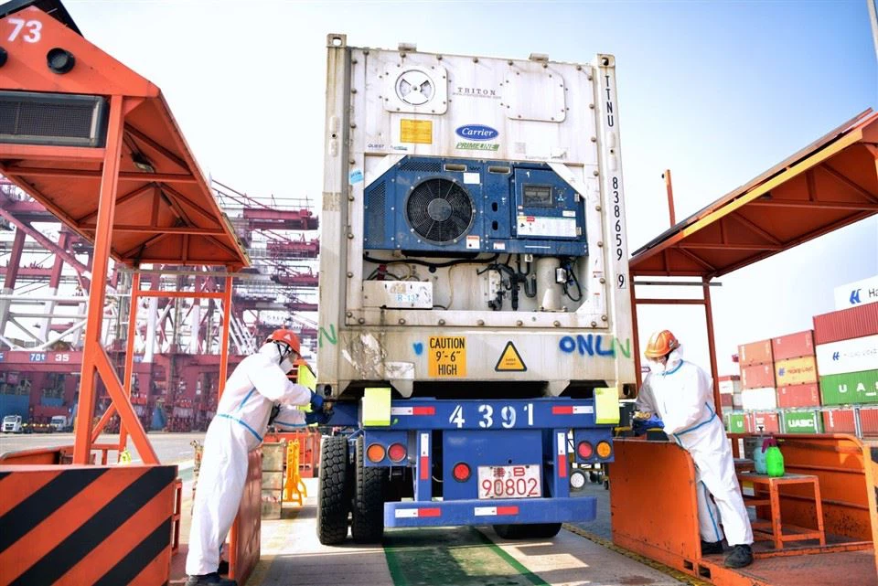 Vegetable Cold Chain Logistics
